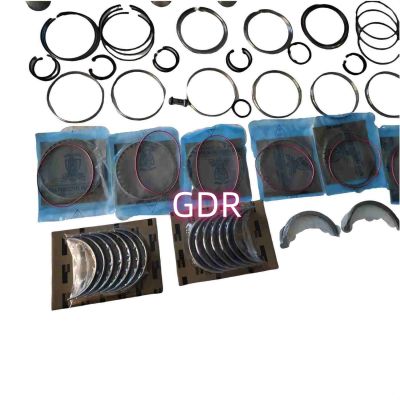 4376171 | Cummins ISX15 Overhaul Kit