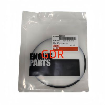 3912473 | Cummins 6BT Rectangular Ring Seal